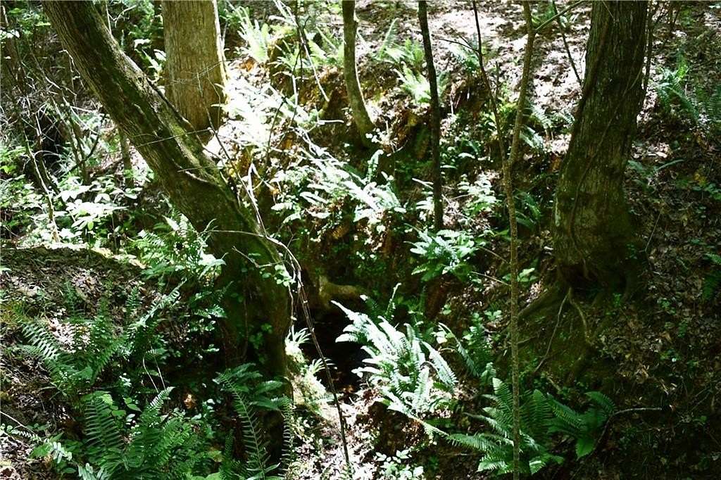 7 Acres of Residential Land for Sale in Temple, Georgia