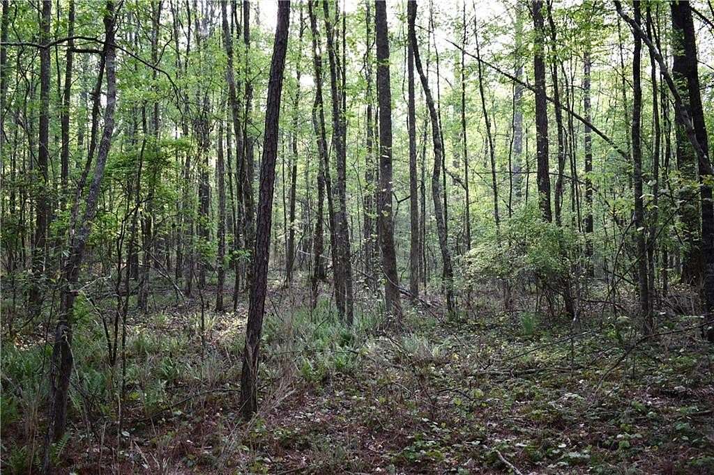 10 Acres of Residential Land for Sale in Temple, Georgia