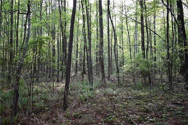 10 Acres of Residential Land for Sale in Temple, Georgia