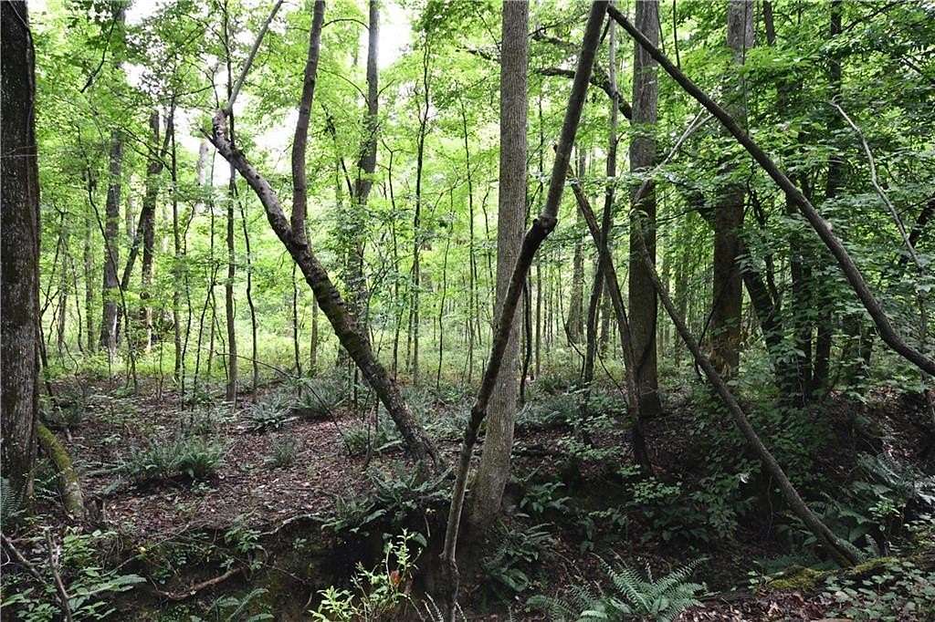 22.8 Acres of Recreational & Residential Land for Sale in Temple, Georgia