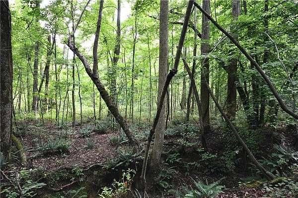 22.8 Acres of Recreational & Residential Land for Sale in Temple, Georgia