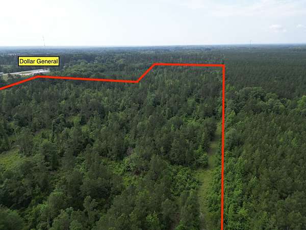 43.3 Acres of Land for Sale in Sheridan, Arkansas