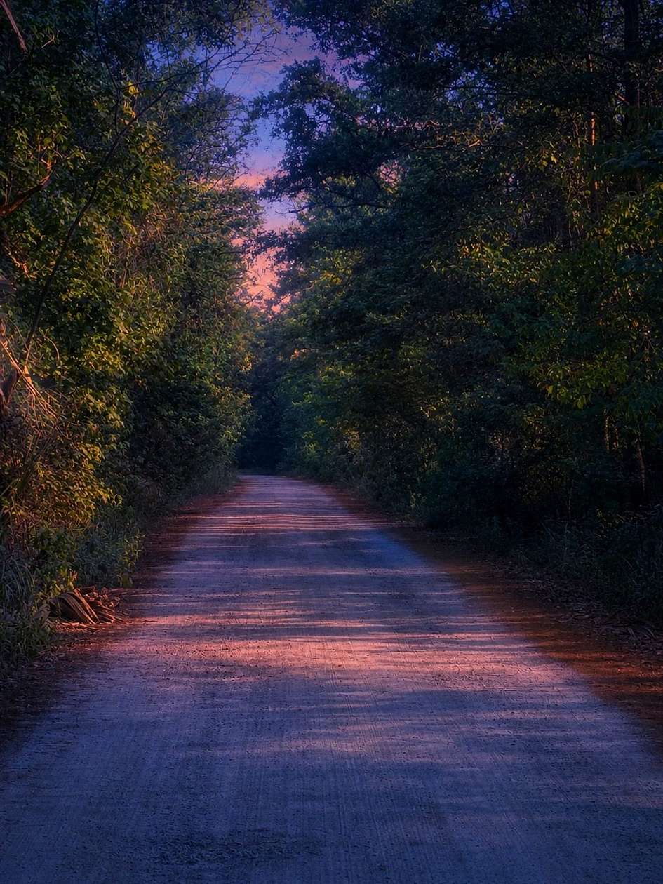 13 Acres of Recreational Land for Sale in Silver Springs, Florida