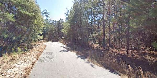 0.48 Acres of Land for Sale in Ivanhoe, Texas