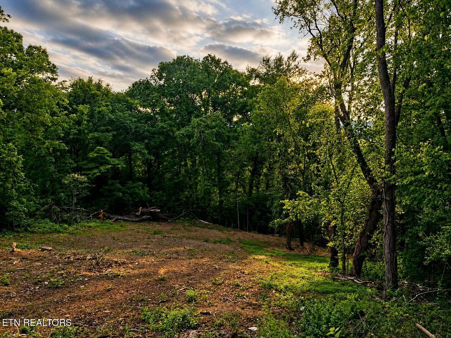 1 Acre of Residential Land for Sale in Rocky Top, Tennessee