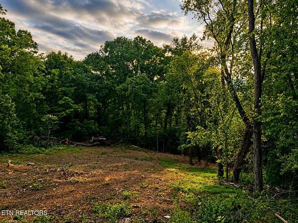 1 Acre of Residential Land for Sale in Rocky Top, Tennessee
