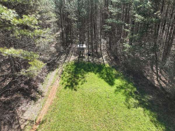 463 Acres of Recreational Land for Sale in Townley, Alabama