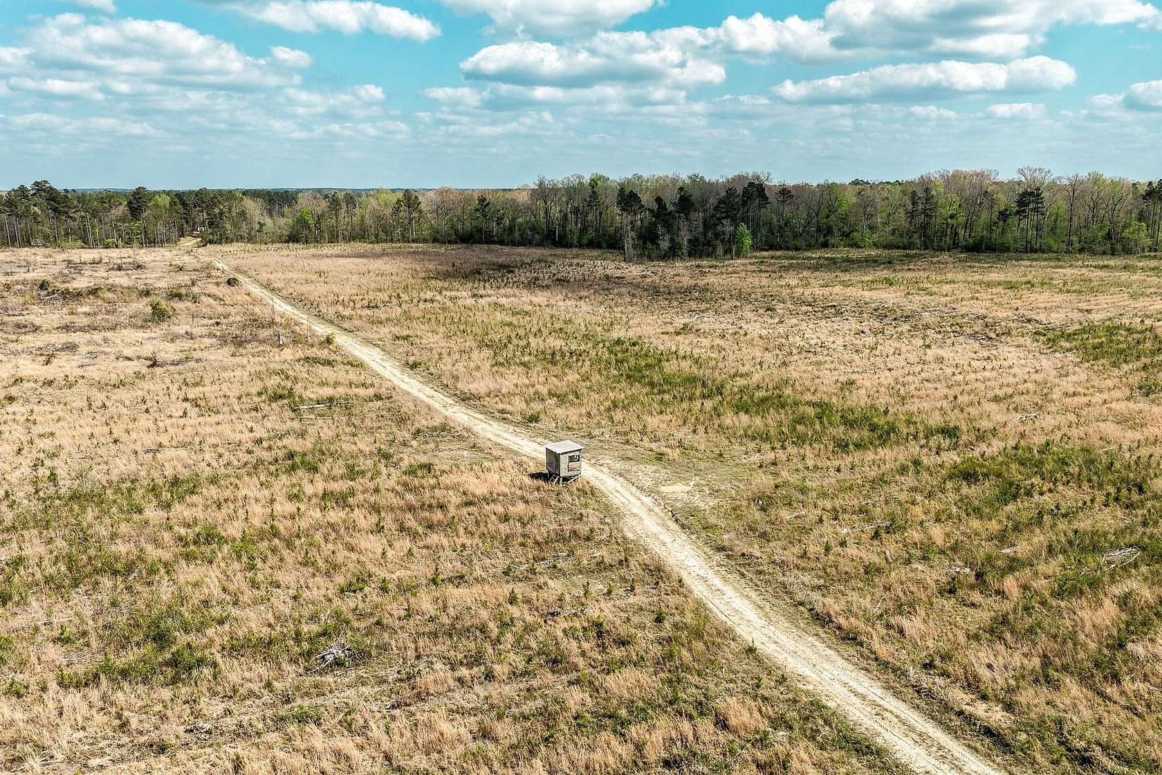 204 Acres of Recreational Land for Auction in Fordyce, Arkansas