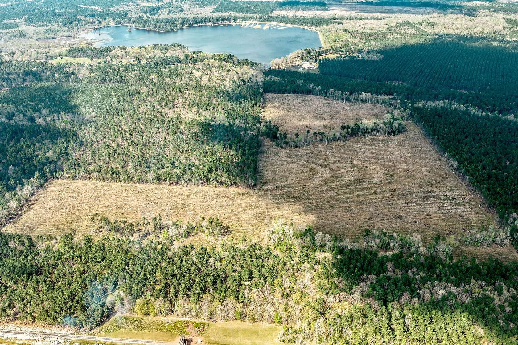 98 Acres of Recreational Land for Auction in Fordyce, Arkansas