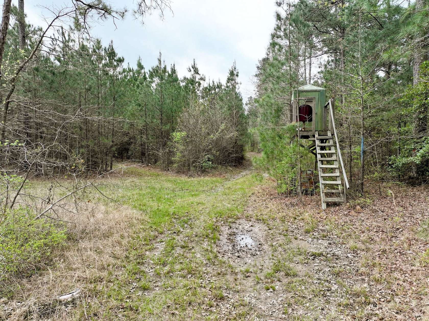366 Acres of Recreational Land for Auction in Hampton, Arkansas