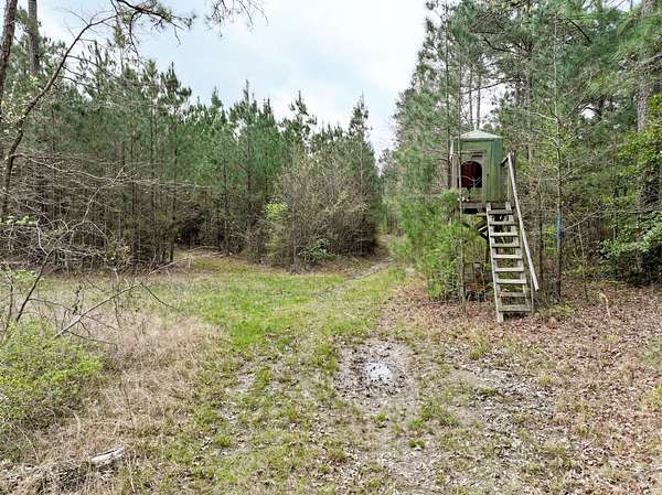 366 Acres of Recreational Land for Auction in Hampton, Arkansas