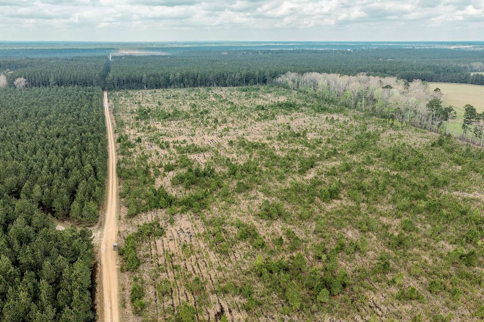 215 Acres of Recreational Land for Auction in Hampton, Arkansas