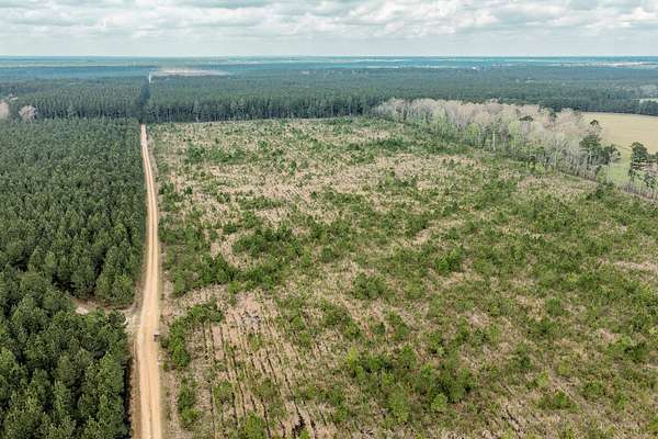 215 Acres of Recreational Land for Auction in Hampton, Arkansas