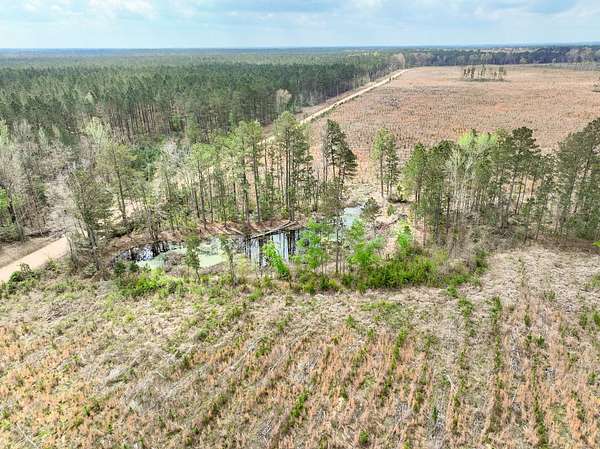 959 Acres of Recreational Land for Auction in Hampton, Arkansas