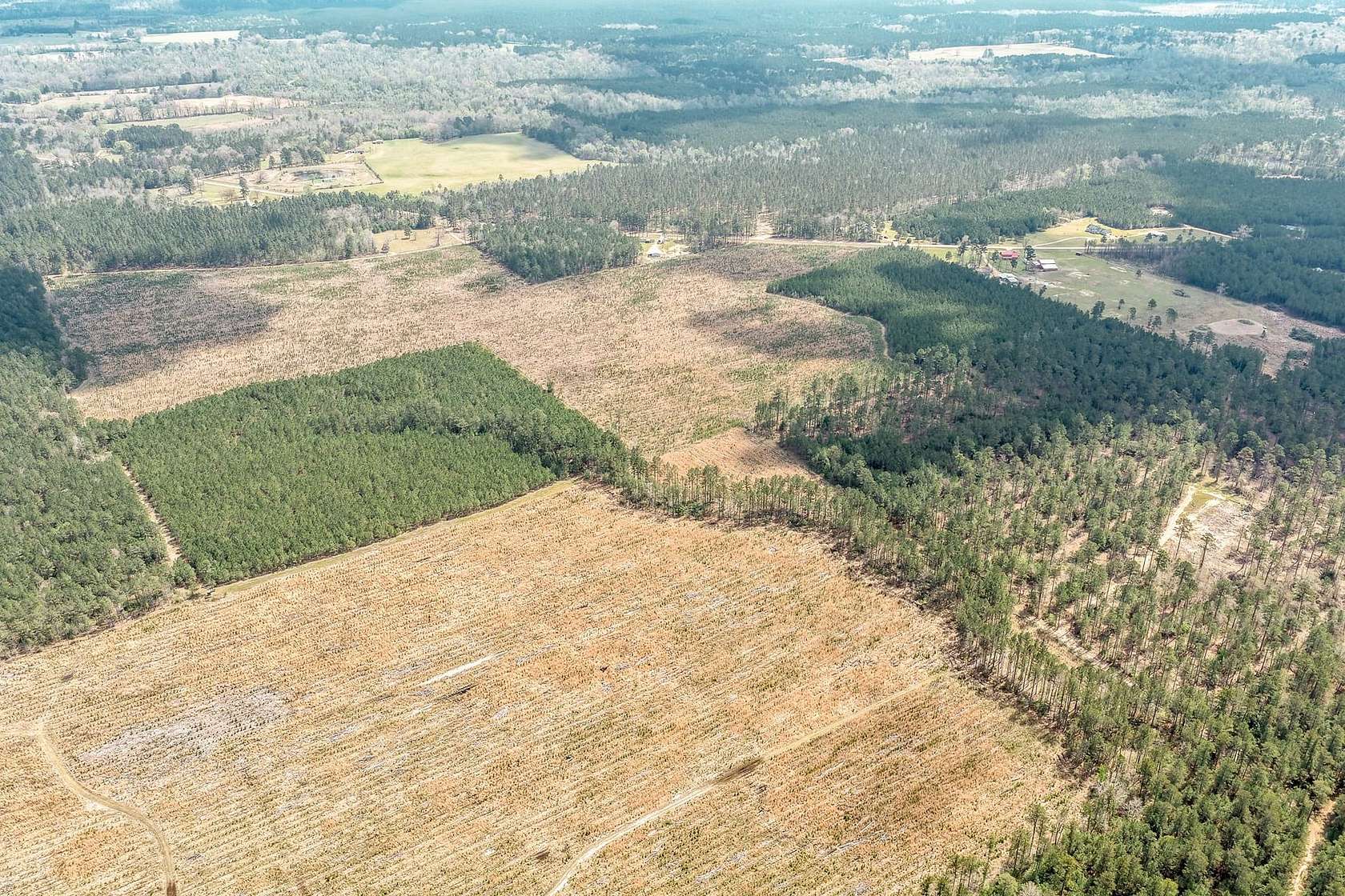 239 Acres of Recreational Land for Auction in Hampton, Arkansas