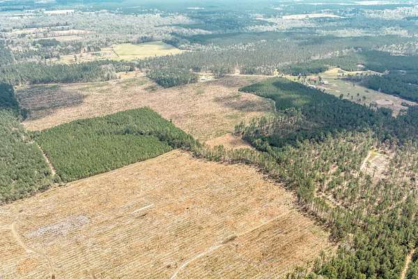 239 Acres of Recreational Land for Auction in Hampton, Arkansas