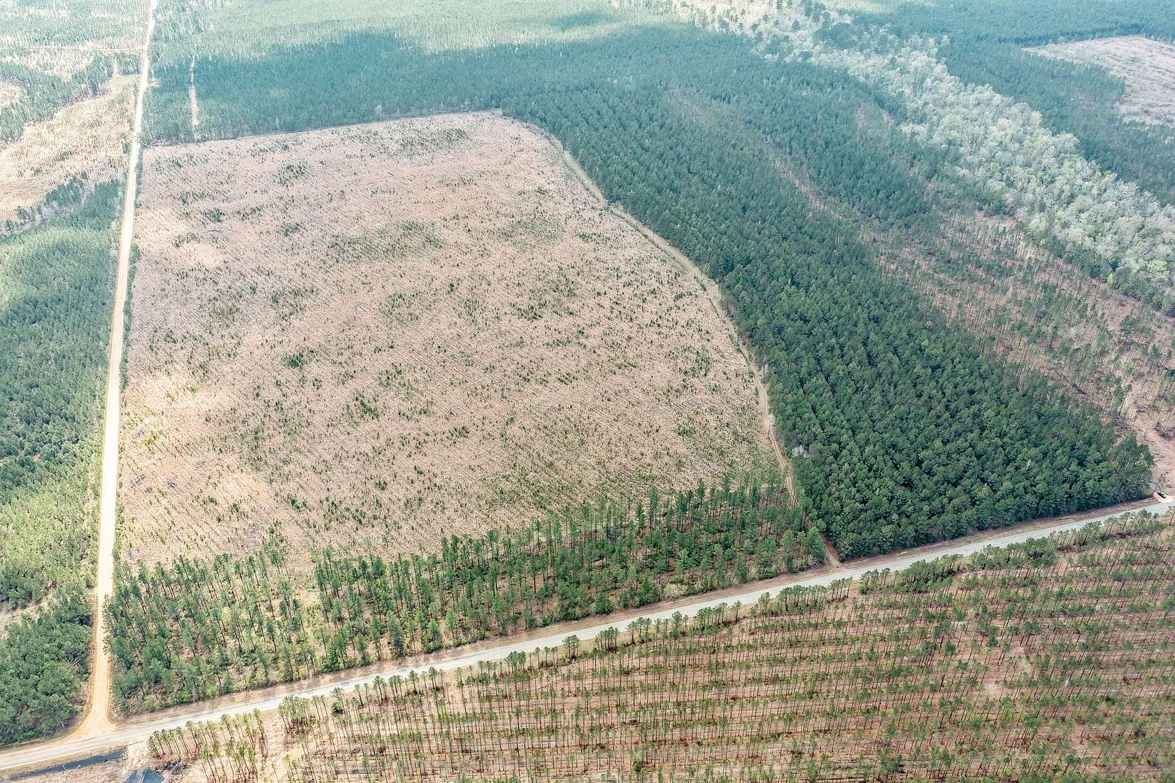 120 Acres of Recreational Land for Auction in Hampton, Arkansas