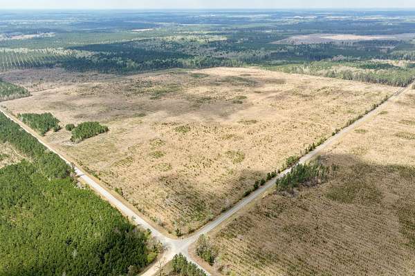 169 Acres of Recreational Land for Auction in Hampton, Arkansas