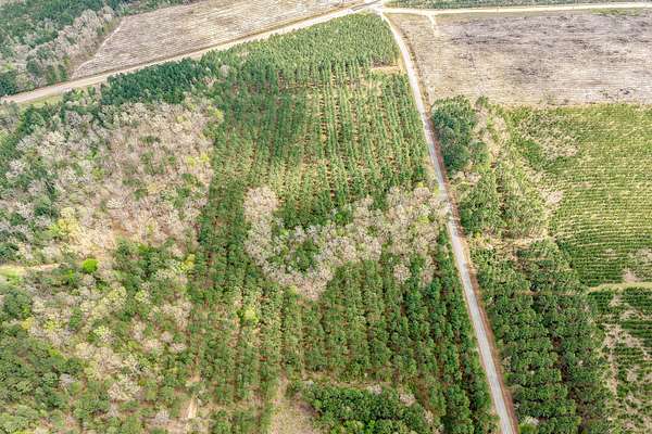 91 Acres of Recreational Land for Auction in Hampton, Arkansas