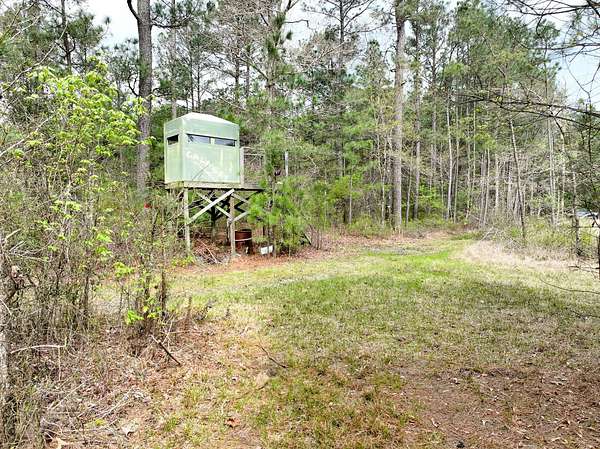 2,461 Acres of Recreational Land for Auction in Fordyce, Arkansas
