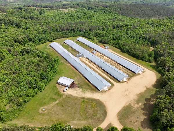 20 Acres of Agricultural & Residential Land for Sale in Vina, Alabama
