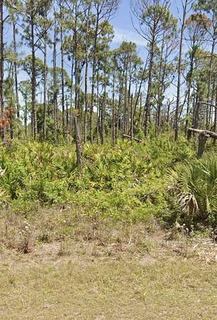 0.23 Acres of Land for Sale in Port Charlotte, Florida