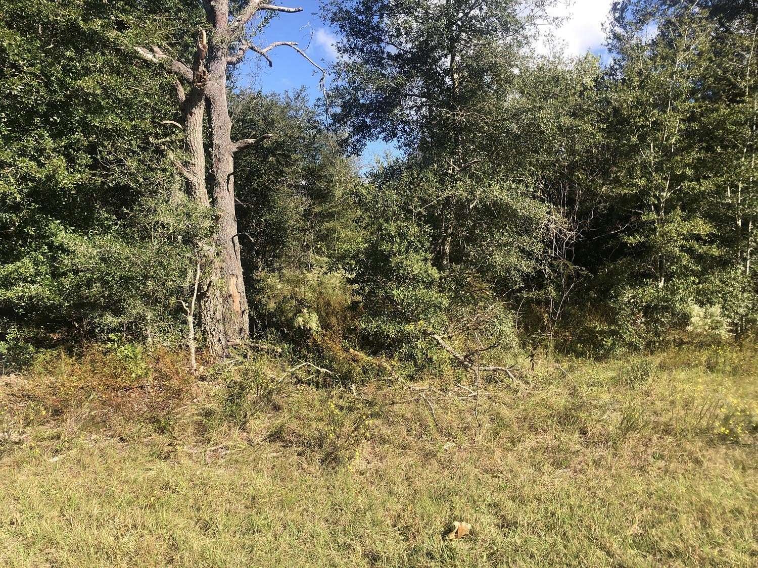 0.22 Acres of Residential Land for Sale in Interlachen, Florida