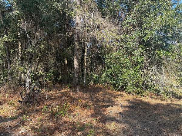 0.5 Acres of Land for Sale in Homosassa, Florida
