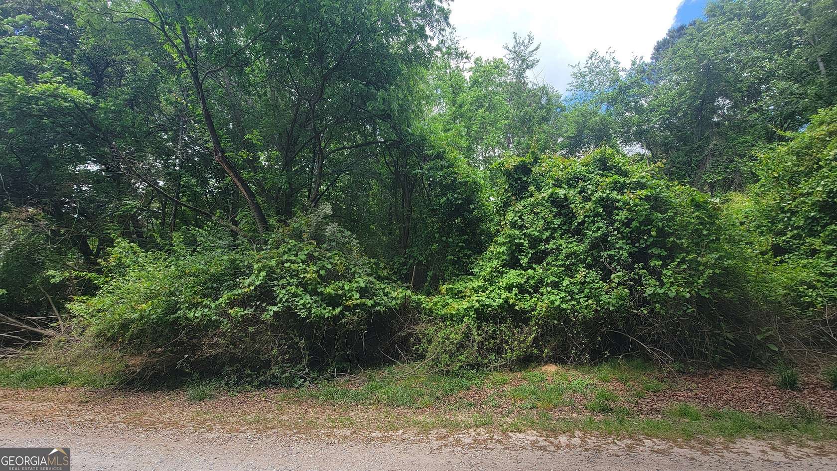 1 Acre of Residential Land for Sale in Athens, Georgia