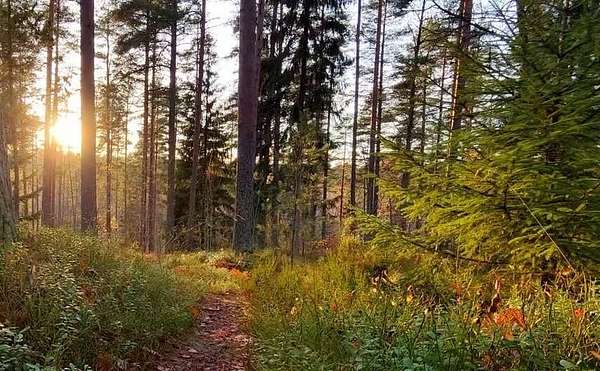 2.4 Acres of Residential Land for Sale in Ada, Michigan