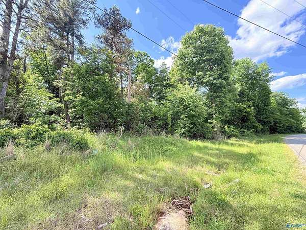 22 Acres of Land for Sale in Union Grove, Alabama