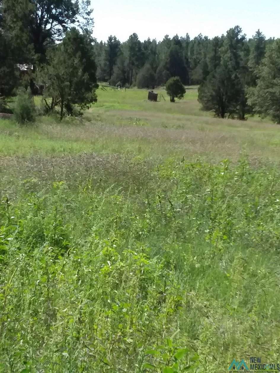 40 Acres of Recreational Land for Sale in Pecos, New Mexico