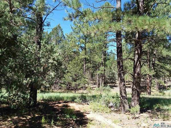 40 Acres of Recreational Land for Sale in Pecos, New Mexico