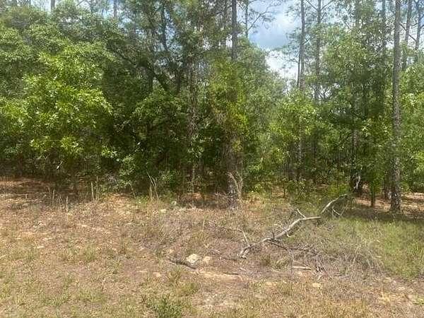 0.24 Acres of Land for Sale in Citrus Springs, Florida