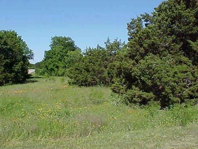0.14 Acres of Land for Sale in Whitney, Texas