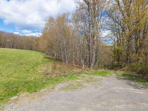 9.74 Acres of Land for Sale in Jefferson, New York