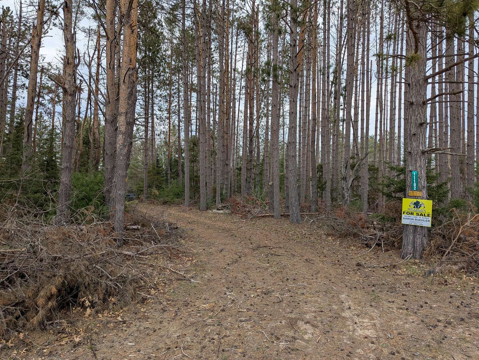 10 Acres of Recreational Land for Sale in Atlanta, Michigan