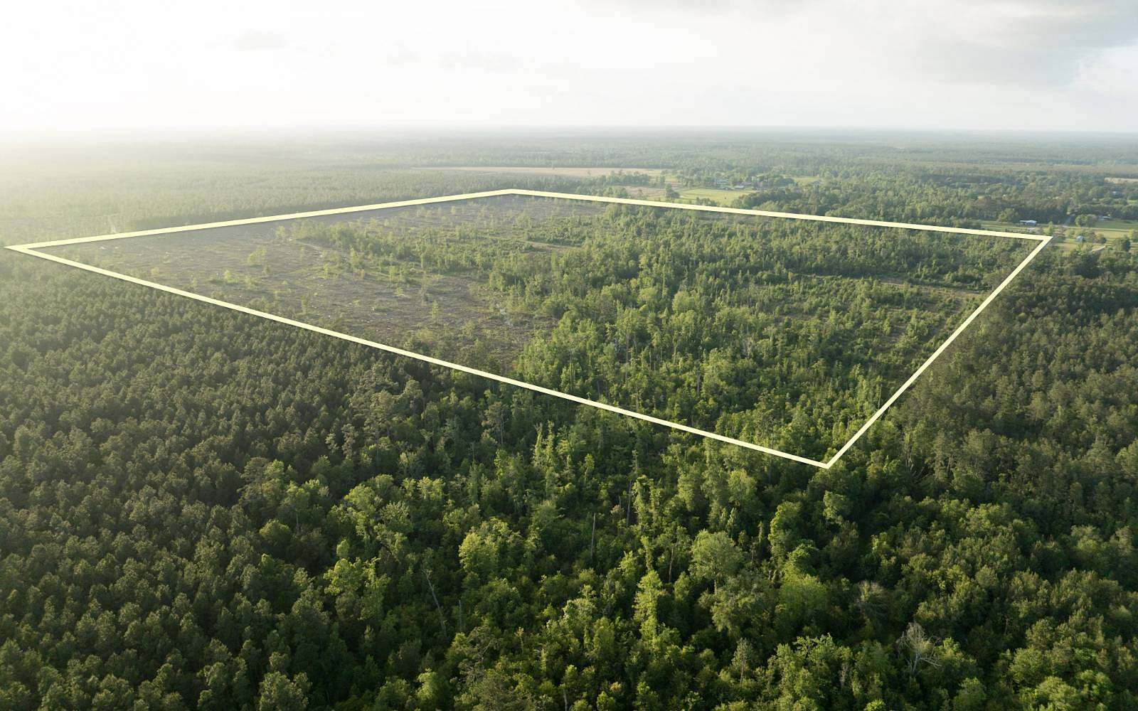 160 Acres of Land for Sale in DeQuincy, Louisiana