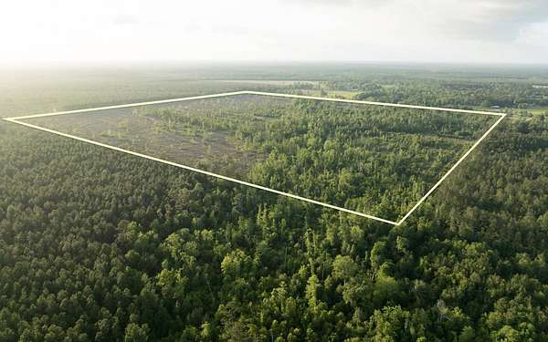 160 Acres of Land for Sale in DeQuincy, Louisiana