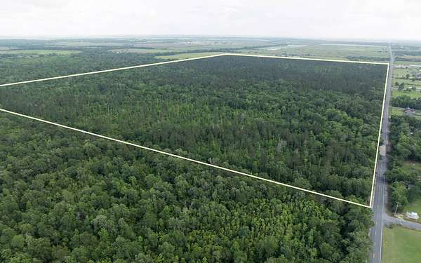 233 Acres of Land for Sale in Iowa, Louisiana