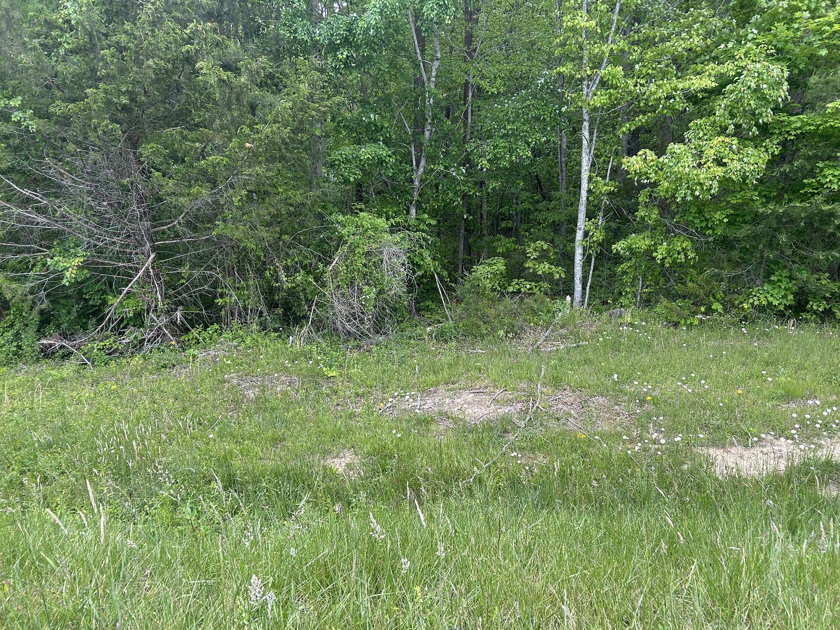 11 Acres of Land for Sale in Spencer, Tennessee
