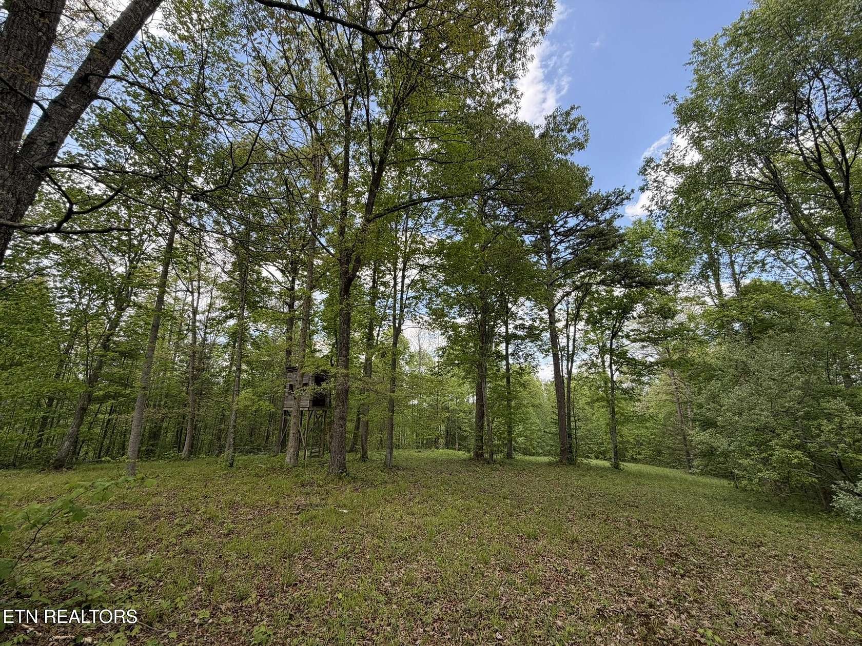 16.5 Acres of Recreational & Residential Land for Sale in Helenwood, Tennessee