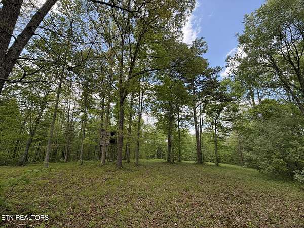 16.5 Acres of Recreational & Residential Land for Sale in Helenwood, Tennessee