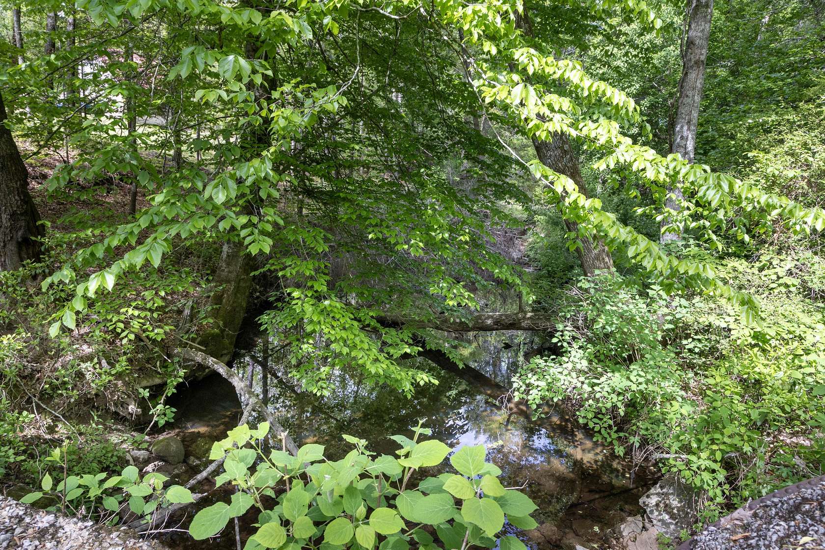 34.6 Acres of Recreational & Residential Land for Sale in Dayton, Tennessee