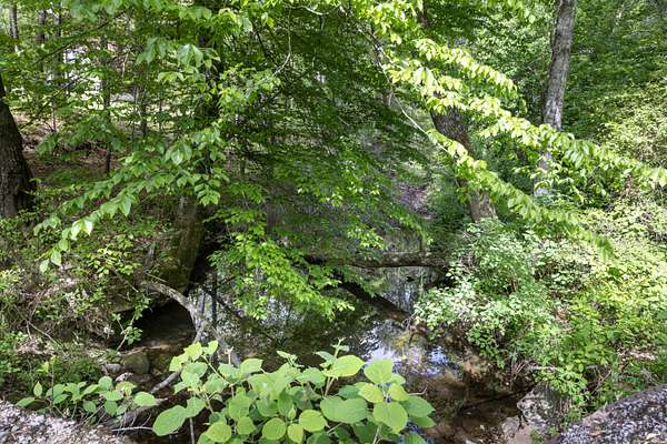 34.6 Acres of Recreational & Residential Land for Sale in Dayton, Tennessee