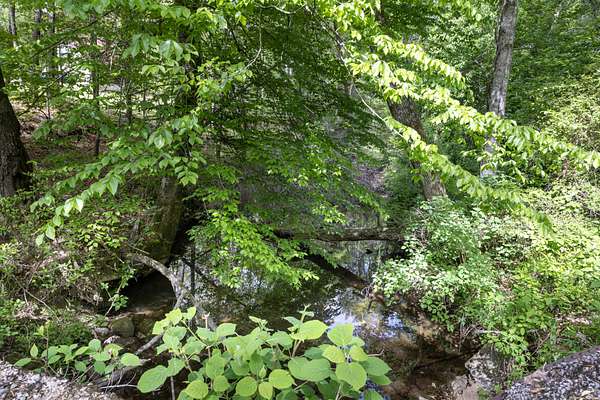34.6 Acres of Recreational & Residential Land for Sale in Dayton, Tennessee