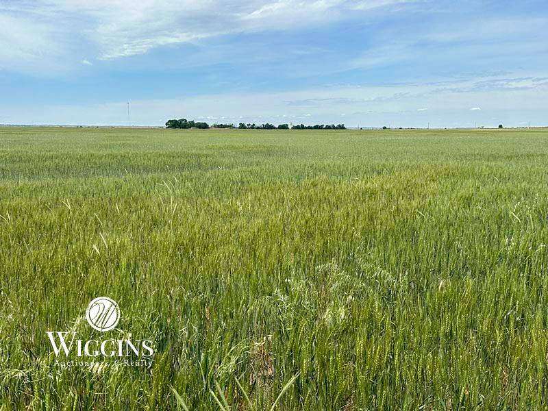 80 Acres of Agricultural Land for Auction in Hitchcock, Oklahoma