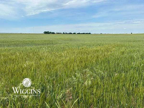 80 Acres of Agricultural Land for Auction in Hitchcock, Oklahoma
