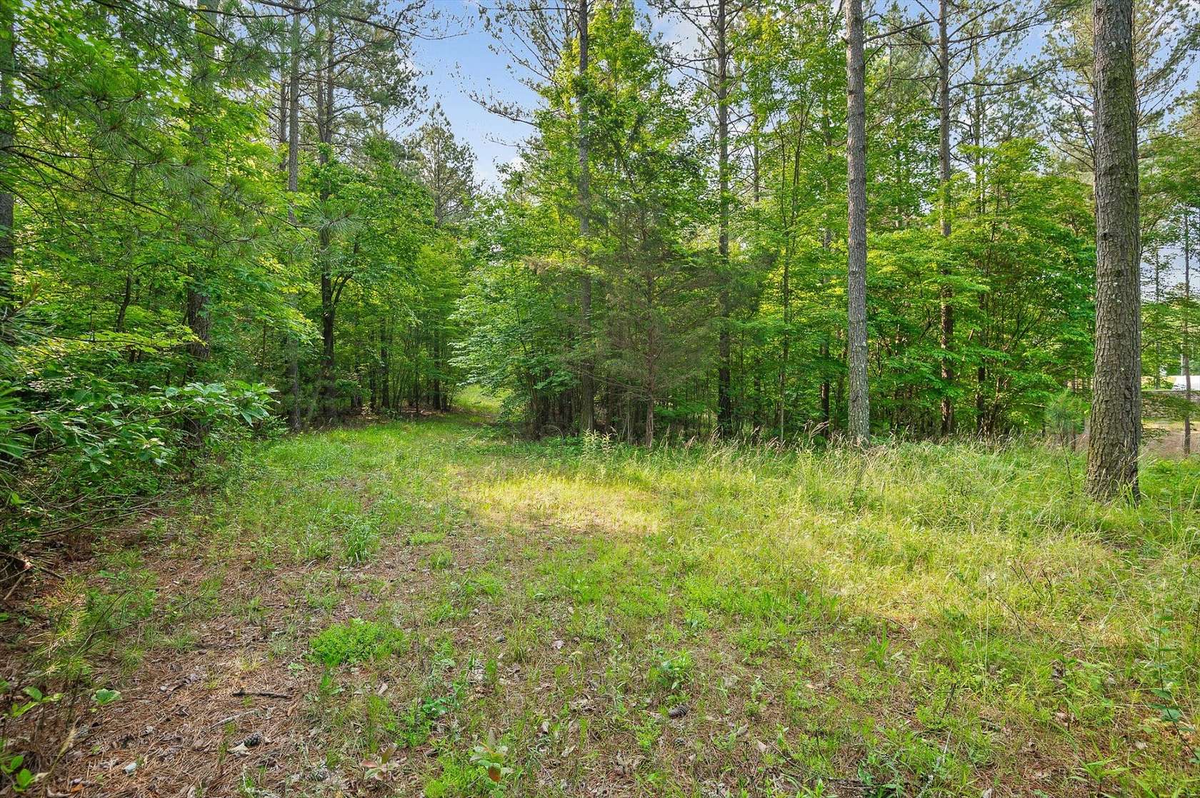 1.58 Acres of Residential Land for Sale in Haletown, Tennessee