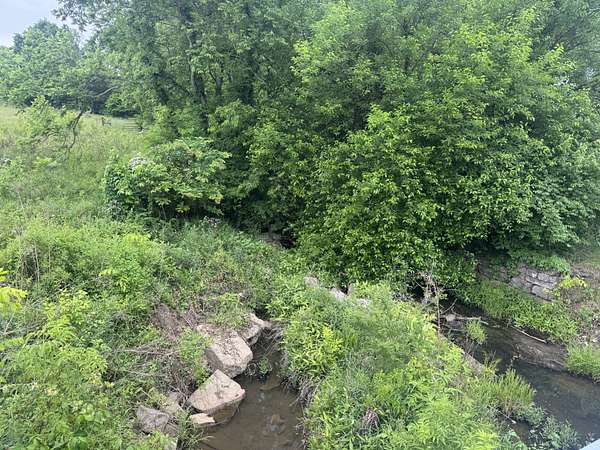 13.2 Acres of Land for Sale in Bell Buckle, Tennessee